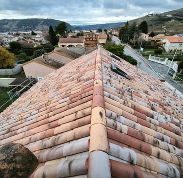 tuile mécanique omega 10 posé