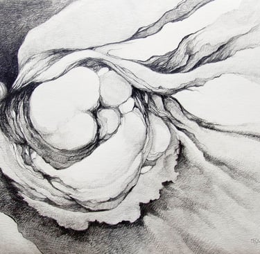 "Ahdunnoh" Graphite on Paper $250