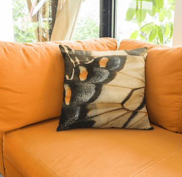 Eastern Tiger Swallowtail Butterfly Square Pillow, Butterfly Pillow, Designer Pillow, Yellow Orange 