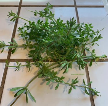 a handful of Cleavers strands on a white tile kitchen counter