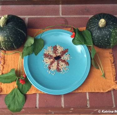 a mandala of grains arranged on a ceramic plate and kabocha squash on either side of the plate