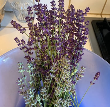 A blue bowl full of sprigs of lavender on a white tile kitchen counter