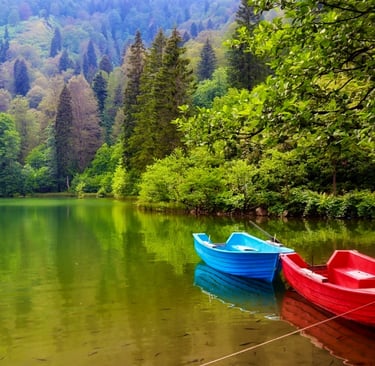 Artvin: Borçka Karagöl | Türkiye Gezi Rehberi