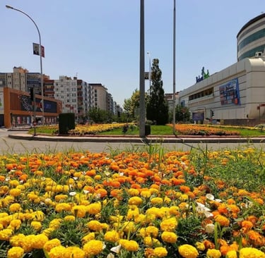 Ailece gezilecek keyifli rotalar