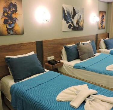 Basar Hotel | Susanoğlu Oteller | Anında Rezervasyon