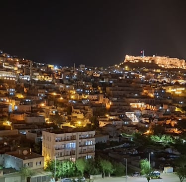 Eski Mardin Evleri