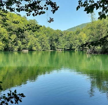 Bolu: Yedigöller Milli Parkı | Türkiye Gezi Rehberi