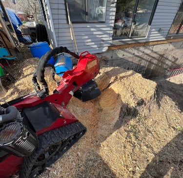 Tree stump removal using a tree stump grinder