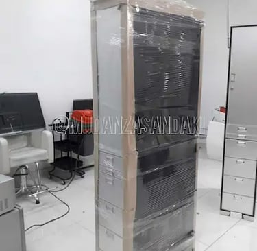 Empaque profesional para mudanzas con materiales de protección para muebles y electrodomésticos