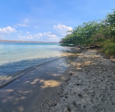 Pristine secluded beach accessible by private catamaran tour in Guanacaste, Costa Rica