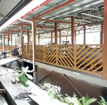 Signal Seafood Steamboat by GlobalKitc at KPD Avenue Kota Kinabalu