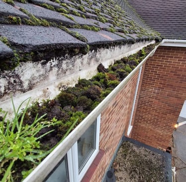Gutter clearance and debris removal on residential property