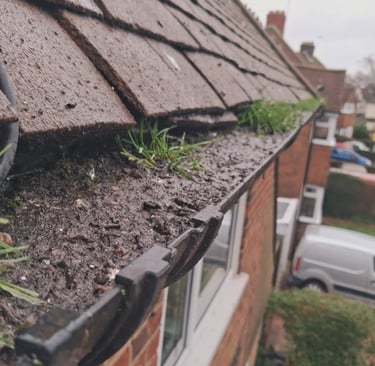 Gutter clearance and debris removal on residential property