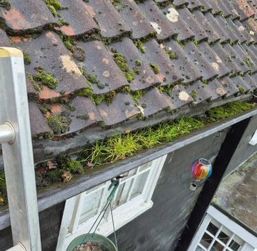 Gutter clearance and debris removal on residential property