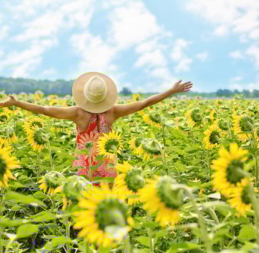 woman-in-sunflowers