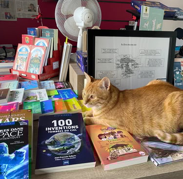 le chat roux Tigrou est couché sur des livres