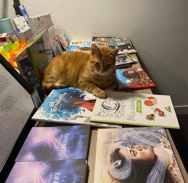 L’espace culturel appartient aux chats. Ici, tigrou le roux est couché sur des livres