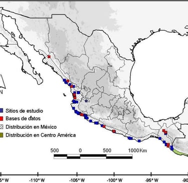 Distribución de C. acutus en México