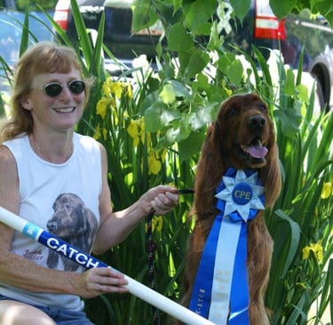 Annie and Alasdair the Irish Setter enjoying their CATCH award for Agility.