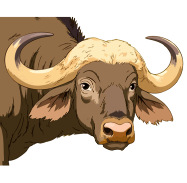 Cape buffalo graphic art print, regarding the viewer with calm assessment.