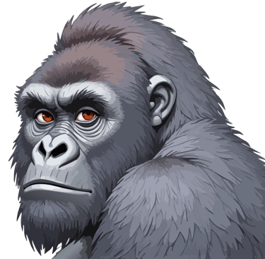 A silverback mountain gorilla holding the viewer's gaze, derived from original wildlife photography in Rwanda.