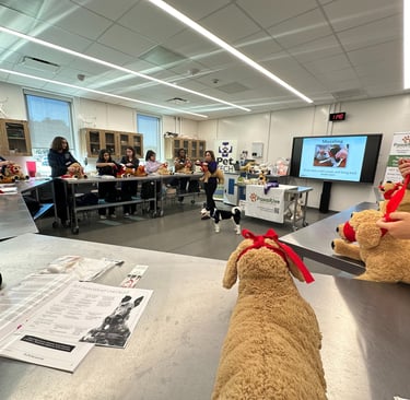 Pet CPR and First Aid Class to a group of students