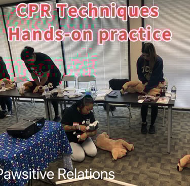 CPR Techniques Practice