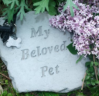 Pet Loss Support Memorial
