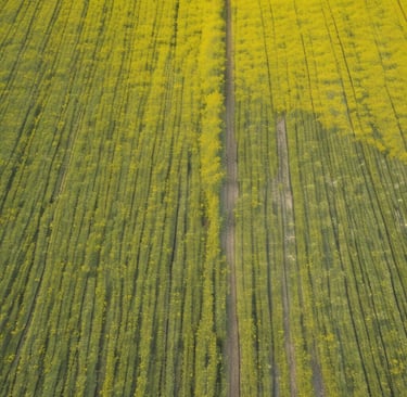 A drone hovers in the air against a backdrop of rolling hills with a small waterfall cascading down the rocky terrain.