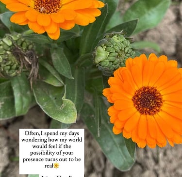  Vibrant orange flowers with an English quote by Jaitry Upadhyay about wondering and longing.