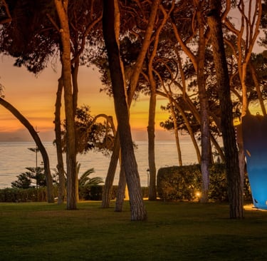 Seafront garden at dusk with illuminated sculpture and pine trees