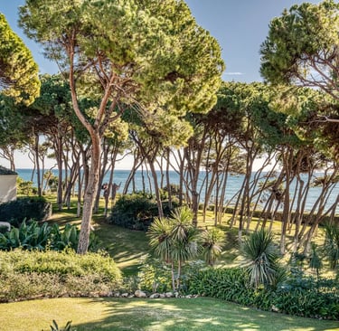 Private beachfront estate with manicured gardens and pine grove