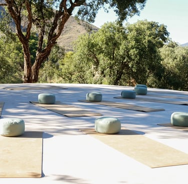 Outdoor yoga deck with mats and bolsters surrounded by nature