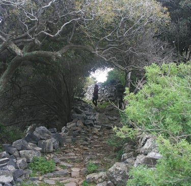 MB, Crete, Greece