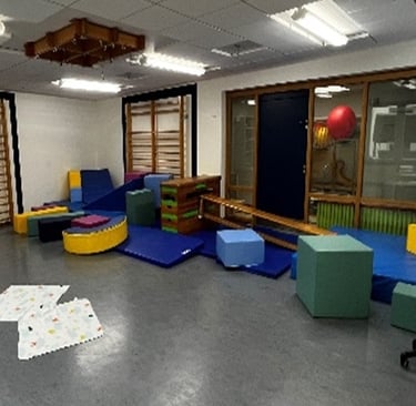 Planning and implementing exercise programmes as an offering.