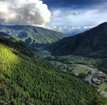 The-Pristine-Green-Forest-Cover-in-Haa-Valley-Western-Bhutan