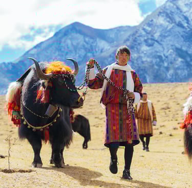 layap_the_people_of_laya_pulling_off_his_packed_animal_yak_during_laya-royal-highland-festival