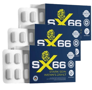 SX66
