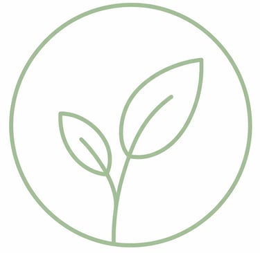 Esplora le Ricette Vegane