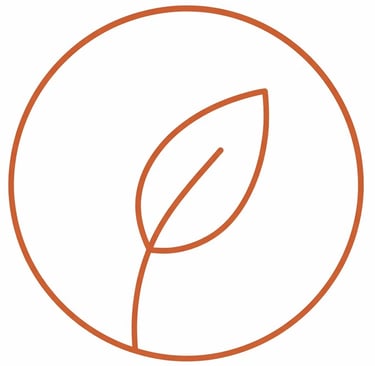 Esplora le Ricette Vegetariane