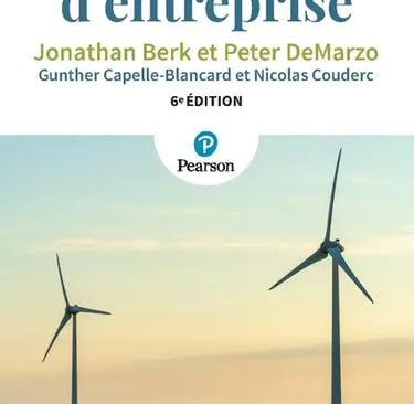 l'ensemble des décisions financières que doit prendre une entreprise pour maximiser ses profits et réduire ses coûts
