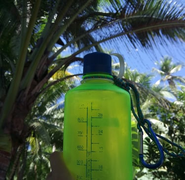Green Nalgene bottle held up under palm trees with bright sky and tropical leaves above.