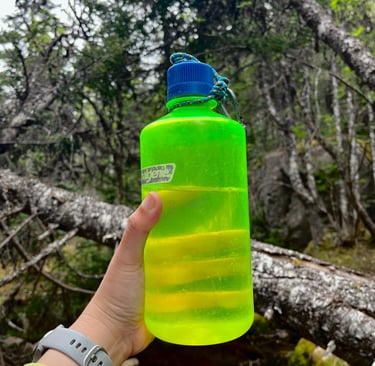 Hand holding a bright green Nalgene bottle in a forest setting with mossy rocks and trees in the bac