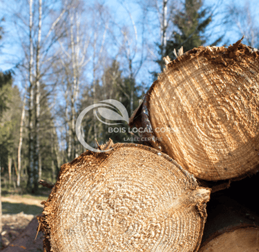 deux rondins de bois