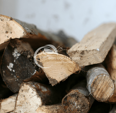 morceaux de rondins de bois