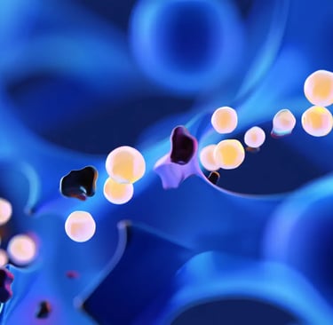 illustration du système himunitaire 