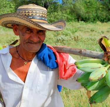 Campesino Costeño. Hombre trabajador incansable y noble de corazòn
