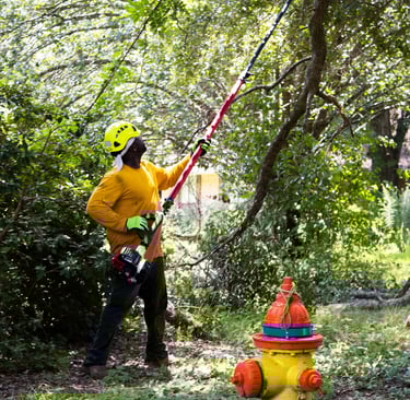 tree trimming in praireville and gonzales