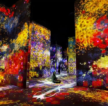 a person standing in front of a large screen with flower lights