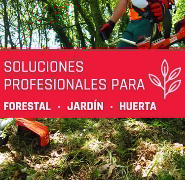 SOLUCION PROFESIONAL MONTEAGRIAUTO.MONTEJICAR
